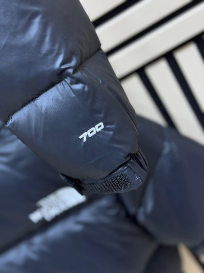 The North Face (Máxima calidad)