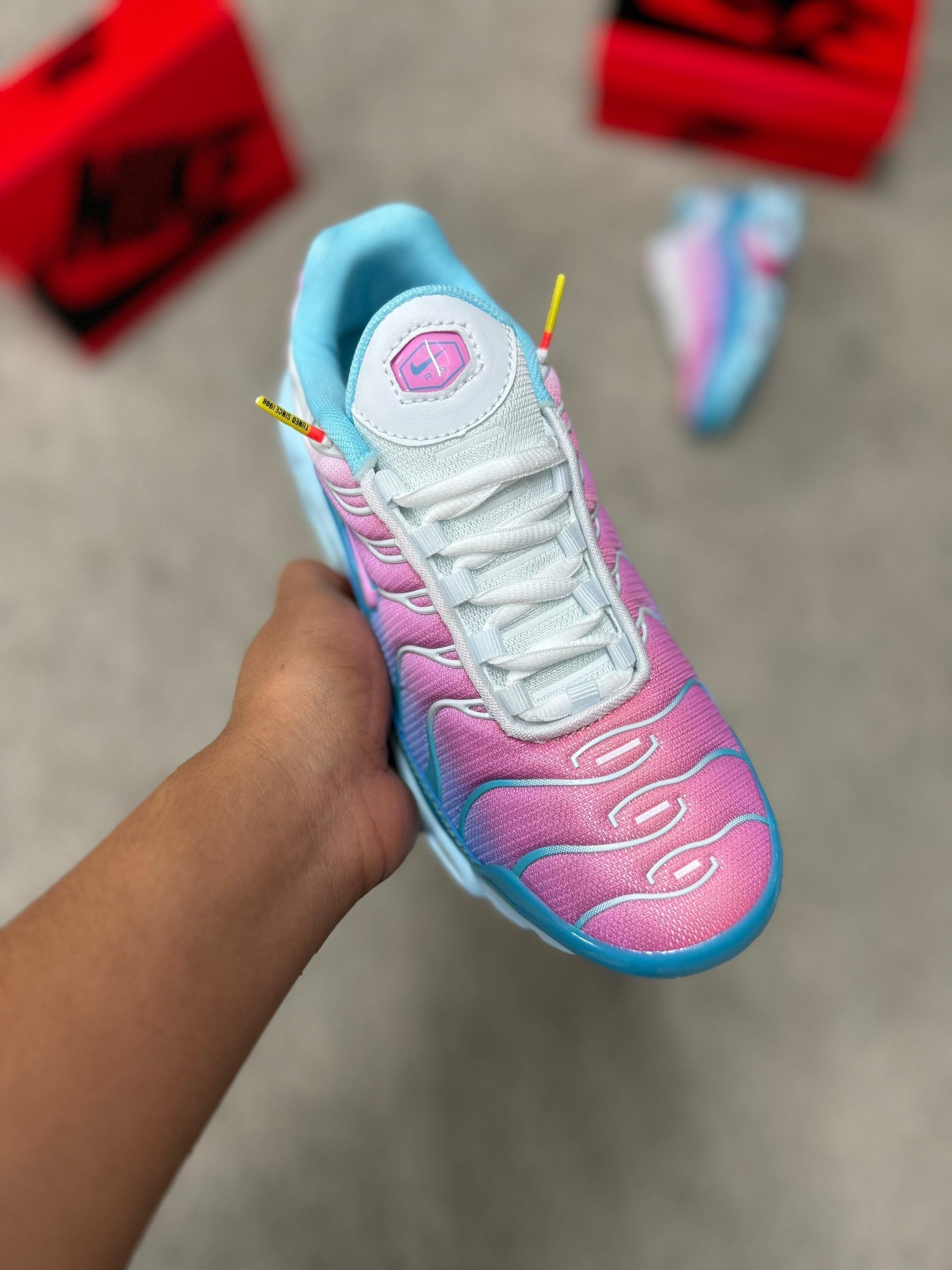 Nike TN (Azul y Rosa)