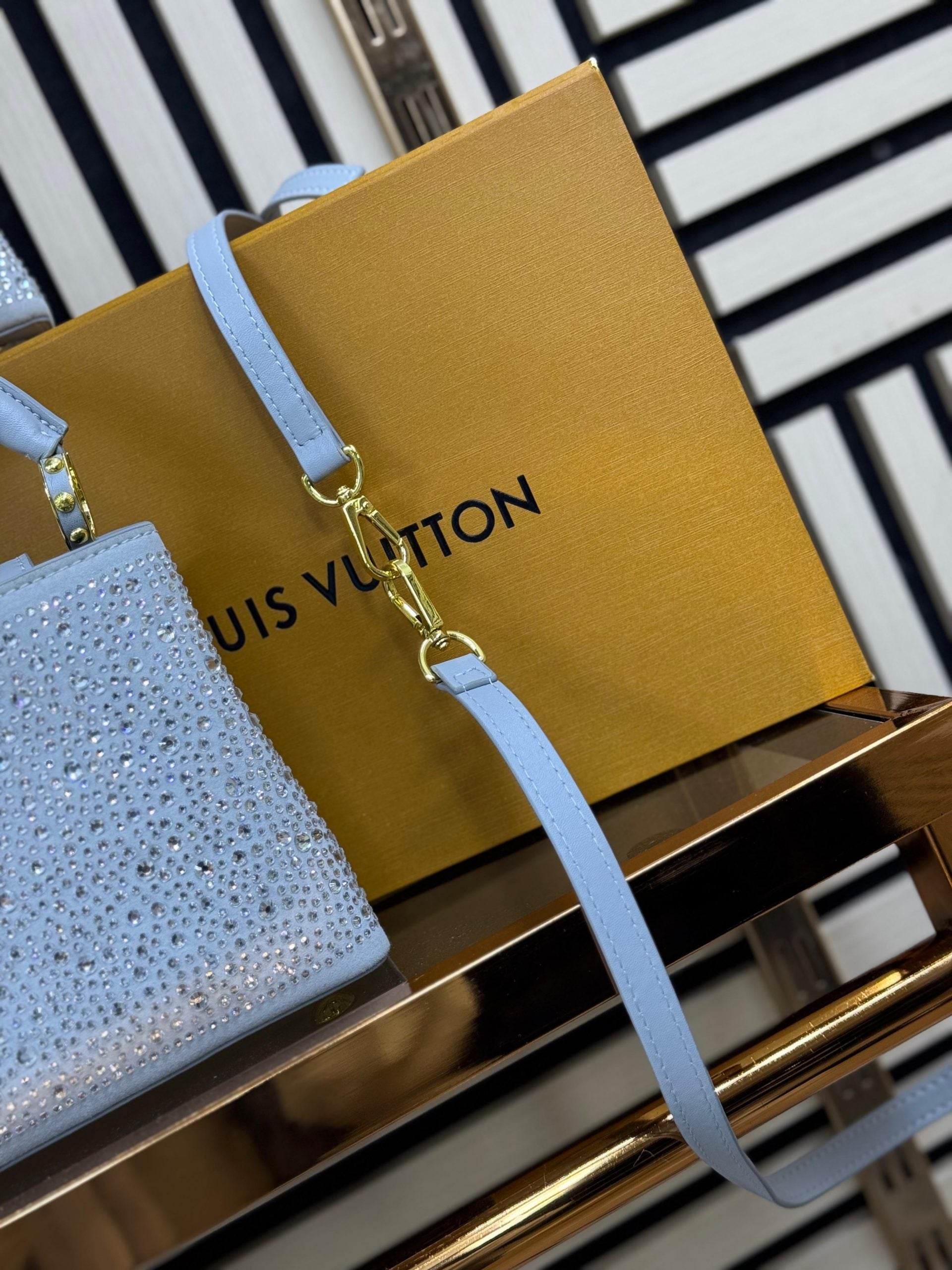Bolso LV (Mujer)